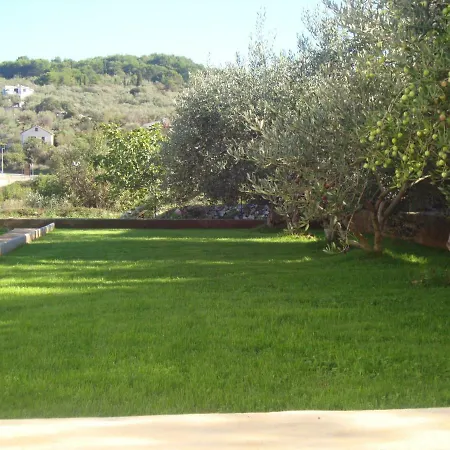Longin Apartament
